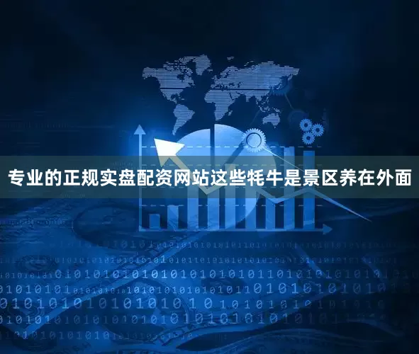 专业的正规实盘配资网站这些牦牛是景区养在外面