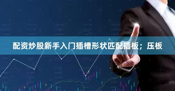配资炒股新手入门插槽形状匹配插板；压板